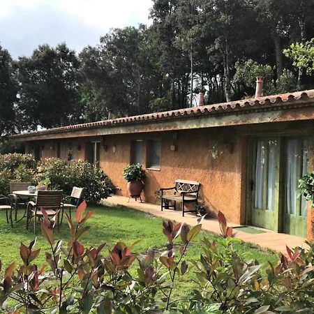 Aurora 2-Bed Cottage - Sleeps 4 - Montseny Park Arbúcies Екстериор снимка